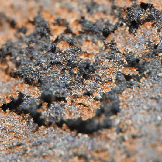 Gorilla Hash THCX 2.0 – 60% – Spliff®